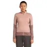 Icebreaker Merino Blend 300 Realfleece™ Descender Reißverschlusspullover