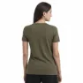 Icebreaker Merino Central Classic Kurzarm-t-shirt