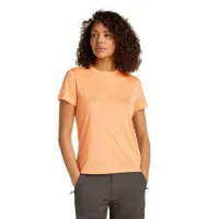 Icebreaker Merino Core Kurzarm-t-shirt Icebreaker Merino Core Kurzarm-t-shirt