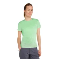 Icebreaker Merino Core Plume Kurzarm-t-shirt Icebreaker Merino Core Plume Kurzarm-t-shirt