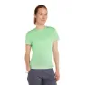 Icebreaker Merino Core Plume Kurzarm-t-shirt