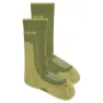 Sphagnum / olive