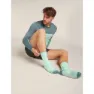 Icebreaker Merino Hike+ Ultralight Crew Socken