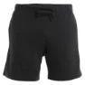 Icebreaker Merino Shifter Ii Kurze Hose