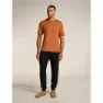Icebreaker Merino Tech Lite Iii Relaxed Pocket Kurzarm-t-shirt