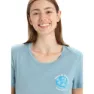Icebreaker Tech Lite Ii Earth Kurzarm-t-shirt