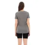 Icebreaker Tech Lite Ii Earth Kurzarm-t-shirt