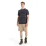 Icebreaker Wace Stipe Merino Kurzarm-t-shirt
