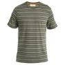 Icebreaker Wave Stripe Kurzarm-t-shirt
