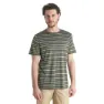 Icebreaker Wave Stripe Kurzarm-t-shirt
