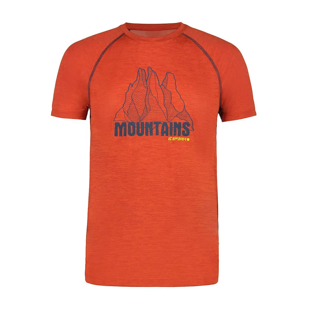 Icepeak Destin Kurzarm-t-shirt Icepeak Destin Kurzarm-t-shirt