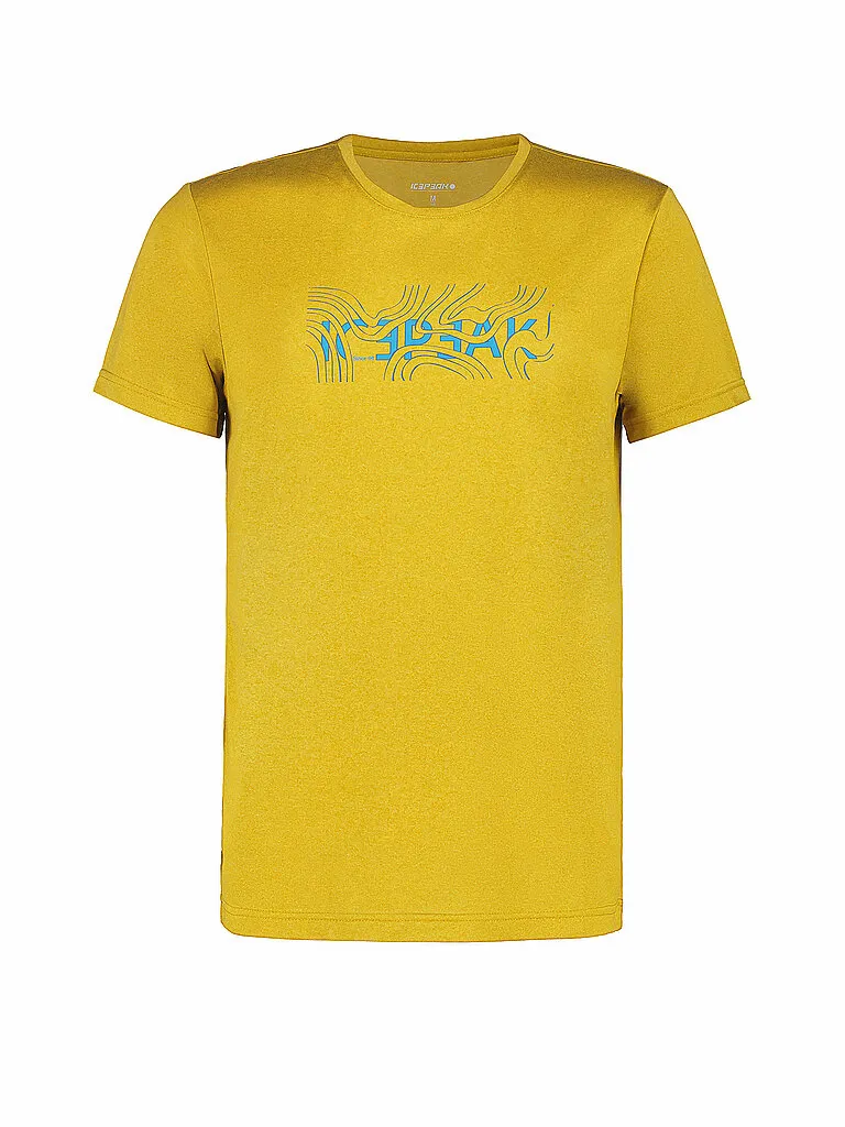 Icepeak Herren Funktionsshirt Baerden