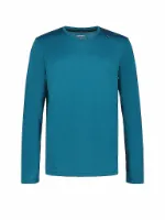 Icepeak Herren Funktionsshirt Bardwell Icepeak Herren Funktionsshirt Bardwell
