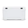 Igloo Coolers Contour 70 66l Steife Tragbare Kühlbox, White, One Size