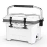 Igloo Coolers Imx 24 22l Steife Tragbare Kühlbox, White, One Size