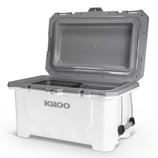 Igloo Coolers Imx 70 66l Steife Tragbare Kühlbox, White, One Size