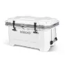 Igloo Coolers Imx 70 66l Steife Tragbare Kühlbox, White, One Size