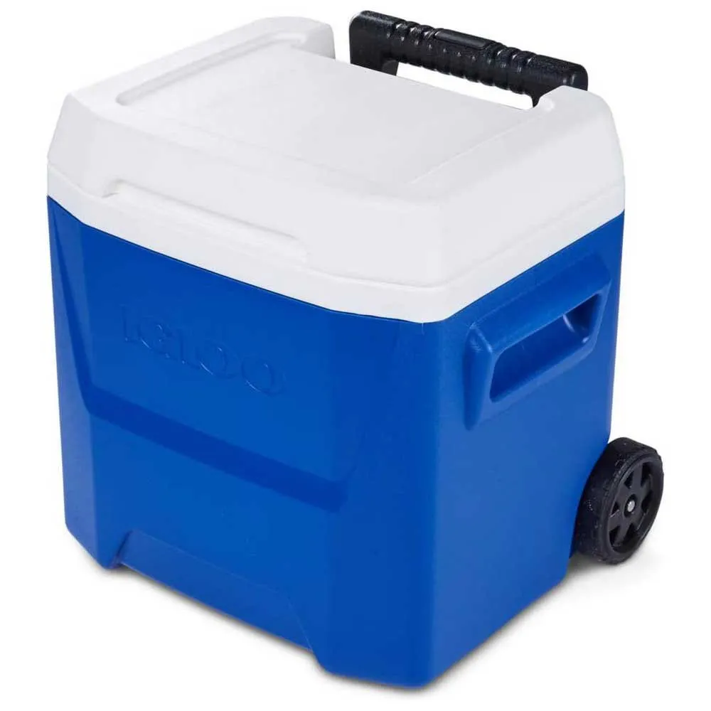 Igloo Coolers Laguna 16 15l Steife Tragbare Kühlbox, Blue, One Size