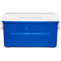 Igloo Coolers Laguna 48 46l Steife Tragbare Kühlbox Igloo Coolers Laguna 48 46l Steife Tragbare Kühlbox