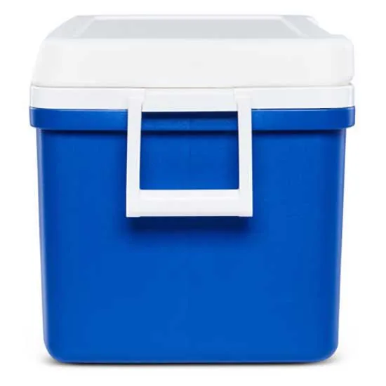 Igloo Coolers Laguna 48 46l Steife Tragbare Kühlbox Igloo Coolers Laguna 48 46l Steife Tragbare Kühlbox