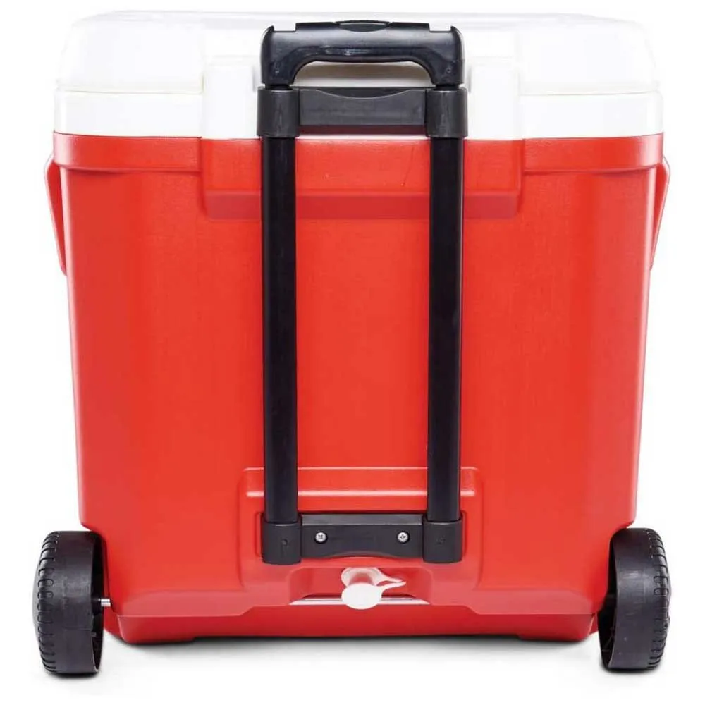 Igloo Coolers Laguna 57l Steife Tragbare Kühlbox Igloo Coolers Laguna 57l Steife Tragbare Kühlbox