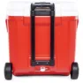 Igloo Coolers Laguna 57l Steife Tragbare Kühlbox