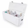 Igloo Coolers Marine Contour 150 142l Steife Tragbare Kühlbox, White, 106 x 47 x 51cm
