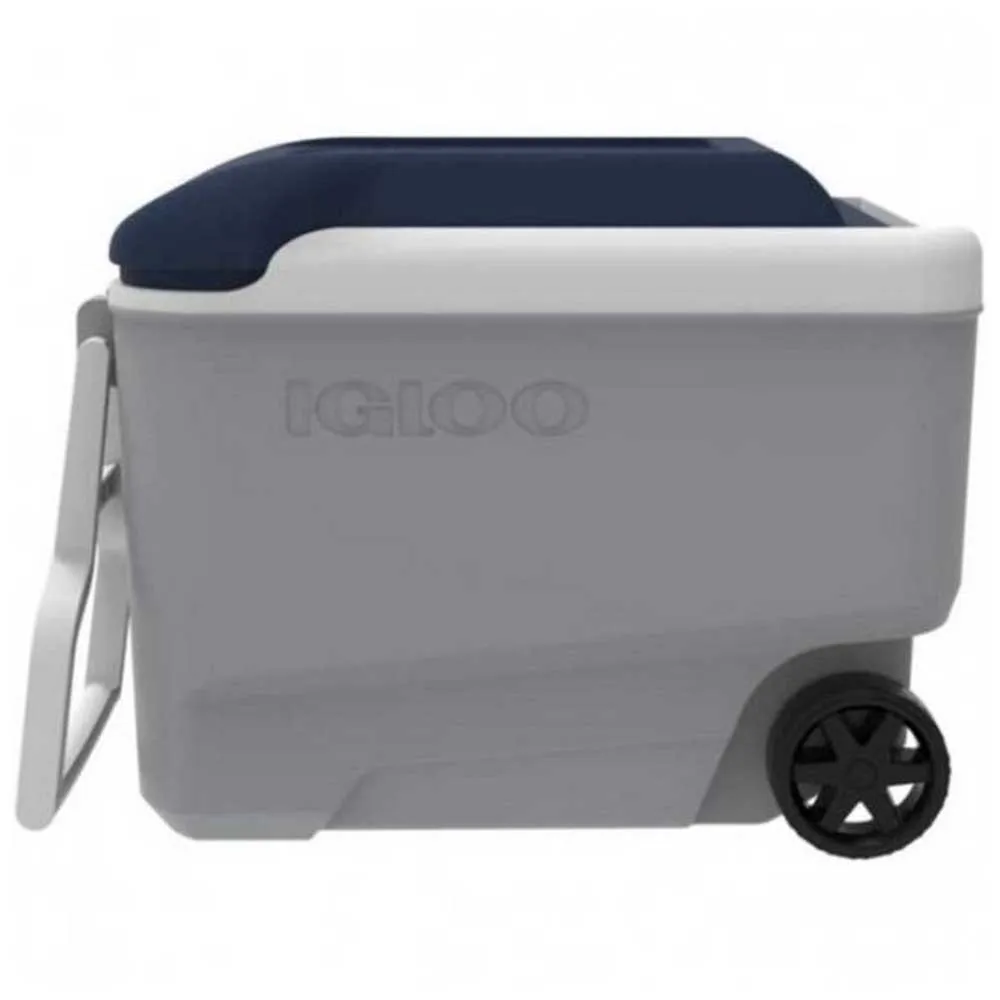 Igloo Coolers Maxcold 40l Steife Tragbare Kühlbox, Grey / white / blue, 58 x 33 x 45cm
