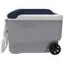 Igloo Coolers Maxcold 40l Steife Tragbare Kühlbox, Grey / white / blue, 58 x 33 x 45cm