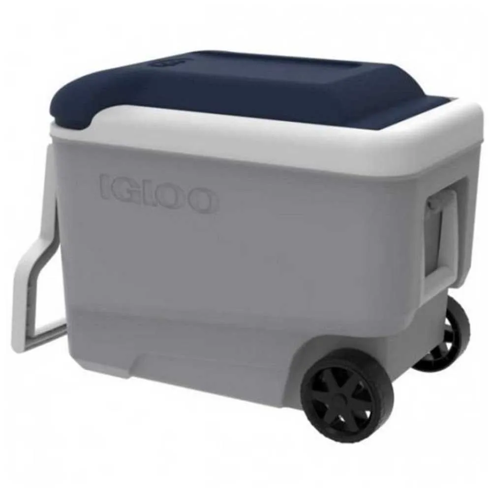 Igloo Coolers Maxcold 40l Steife Tragbare Kühlbox, Grey / white / blue, 58 x 33 x 45cm