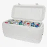 Igloo Coolers Polar 120 114l Steife Tragbare Kühlbox, White, One Size