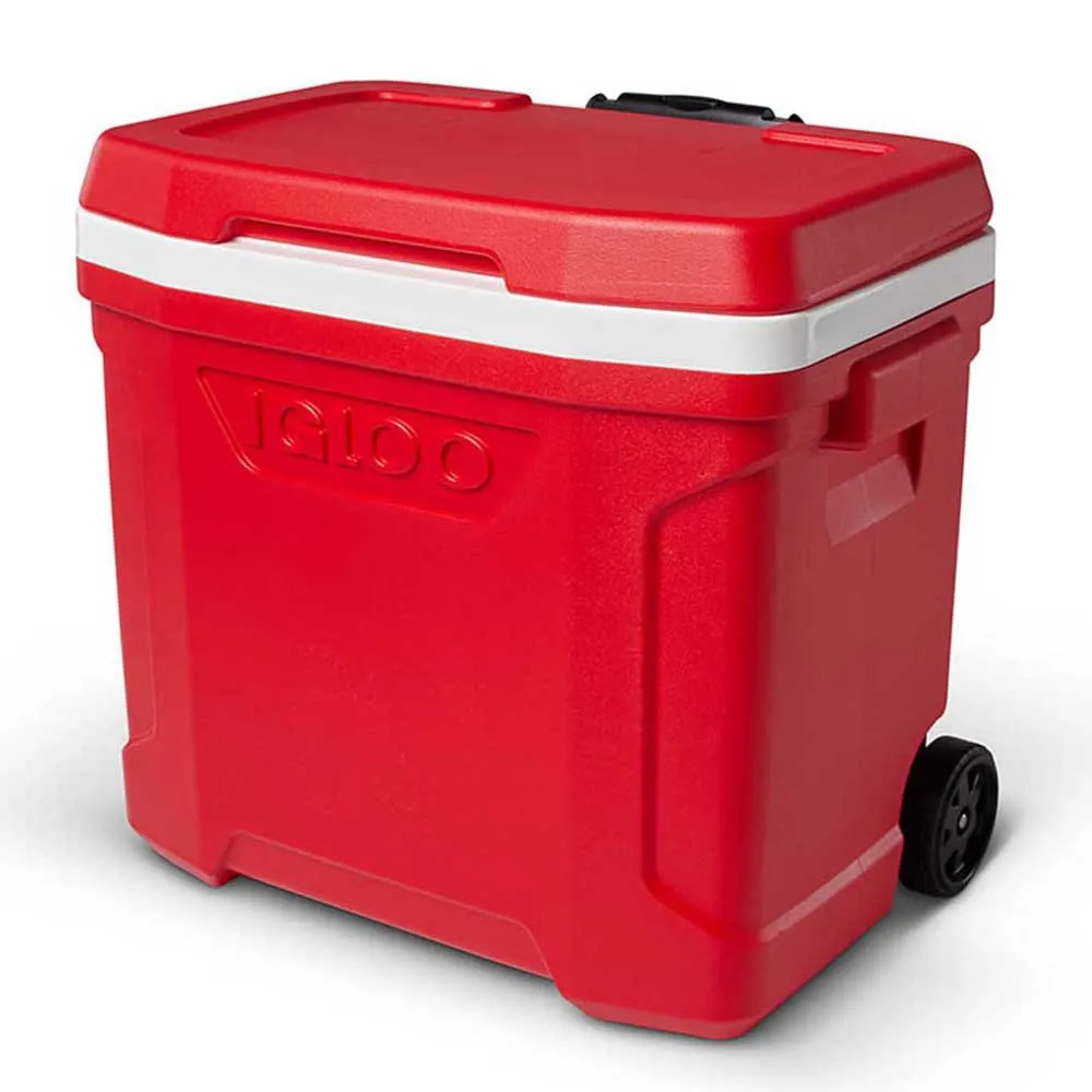 Igloo Coolers Profile 26l Steife Tragbare Kühlbox, Red, 46 x 33 x 42cm