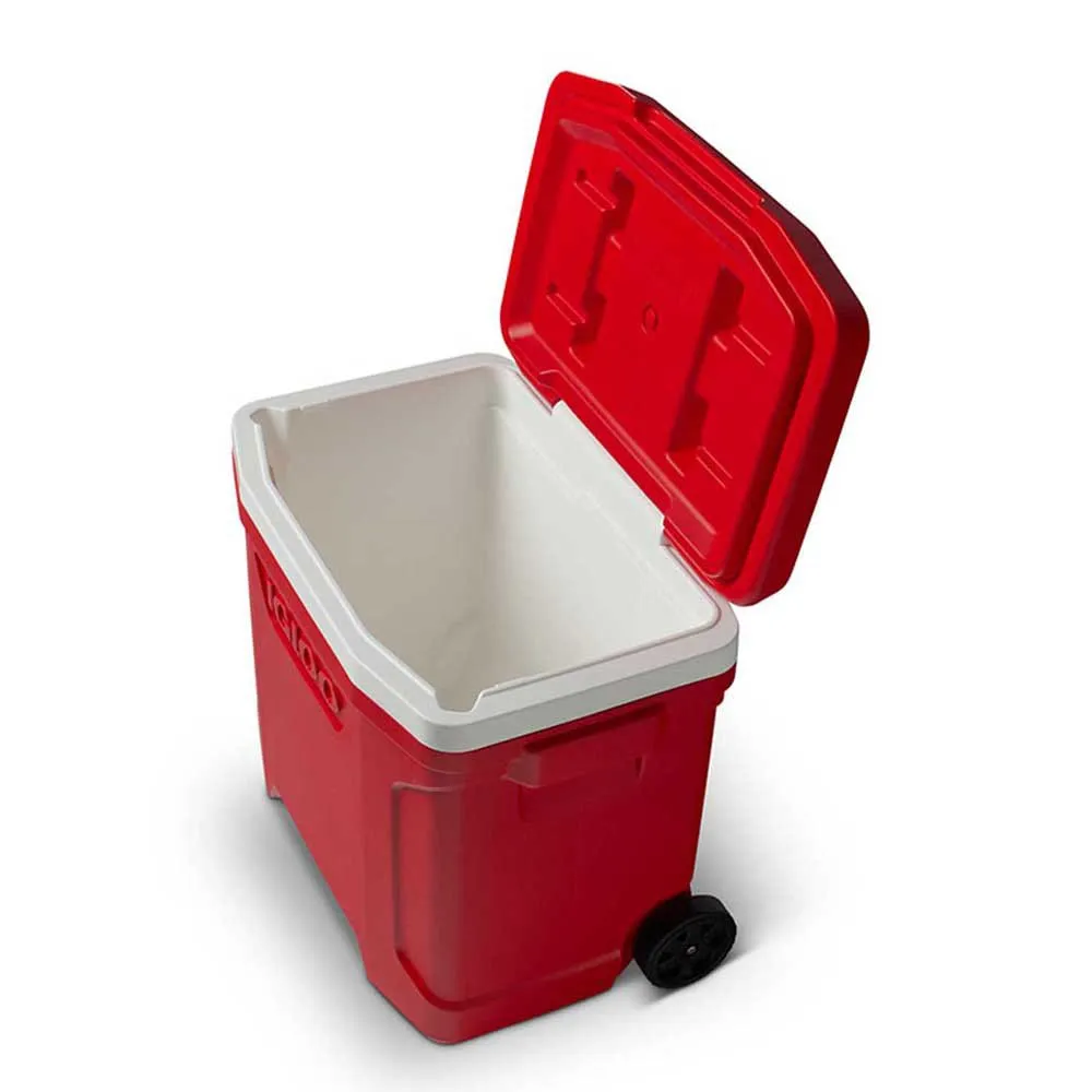 Igloo Coolers Profile 26l Steife Tragbare Kühlbox, Red, 46 x 33 x 42cm