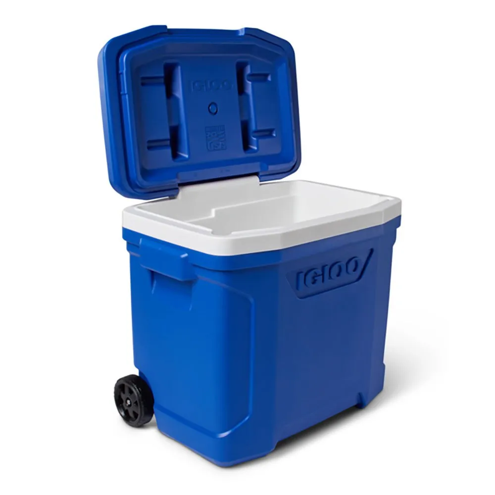 Igloo Coolers Profile Majestic 28 26l Steife Tragbare Kühlbox, Blue, One Size Igloo Coolers Profile Majestic 28 26l Steife Tragbare Kühlbox, Blue, One Size