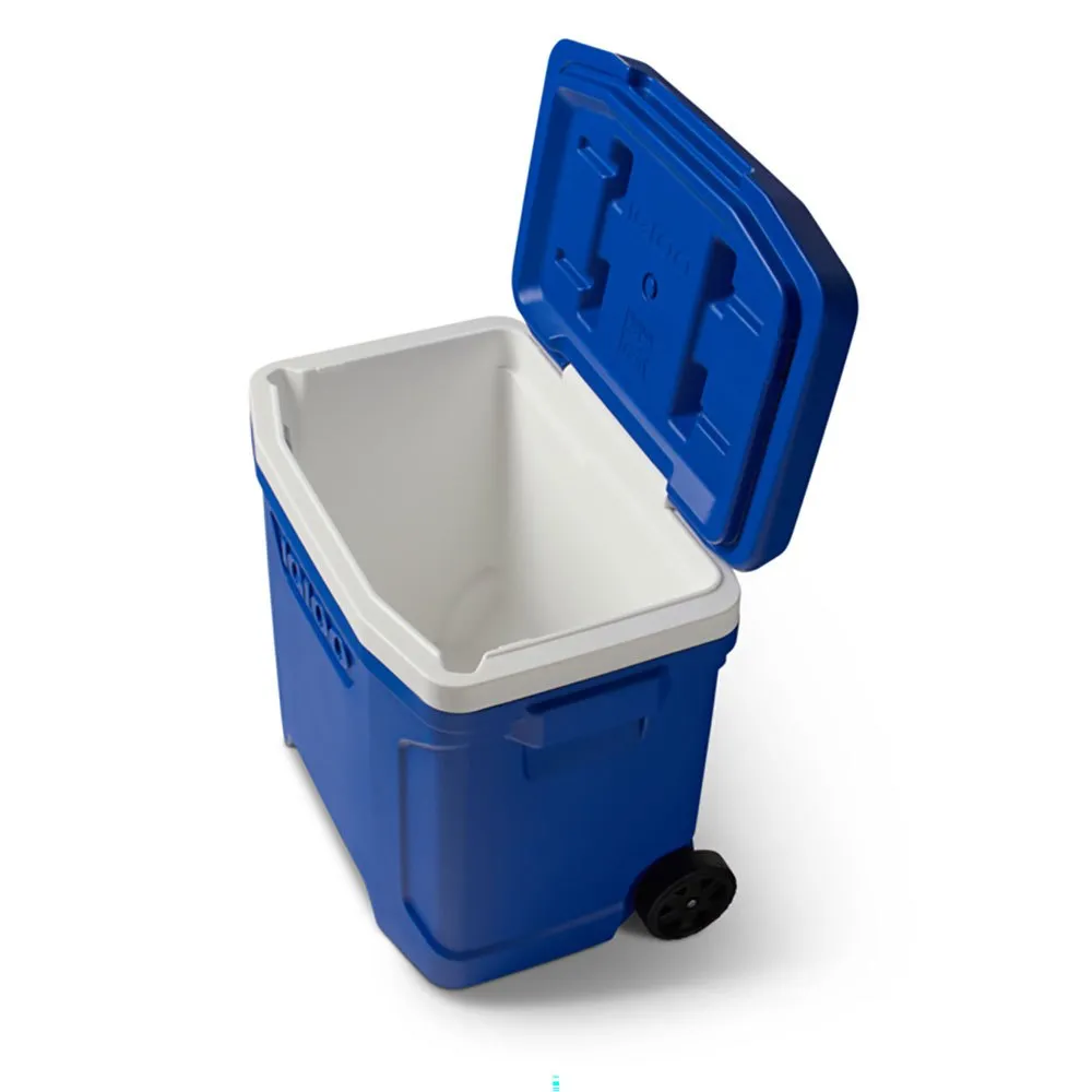 Igloo Coolers Profile Majestic 28 26l Steife Tragbare Kühlbox, Blue, One Size Igloo Coolers Profile Majestic 28 26l Steife Tragbare Kühlbox, Blue, One Size