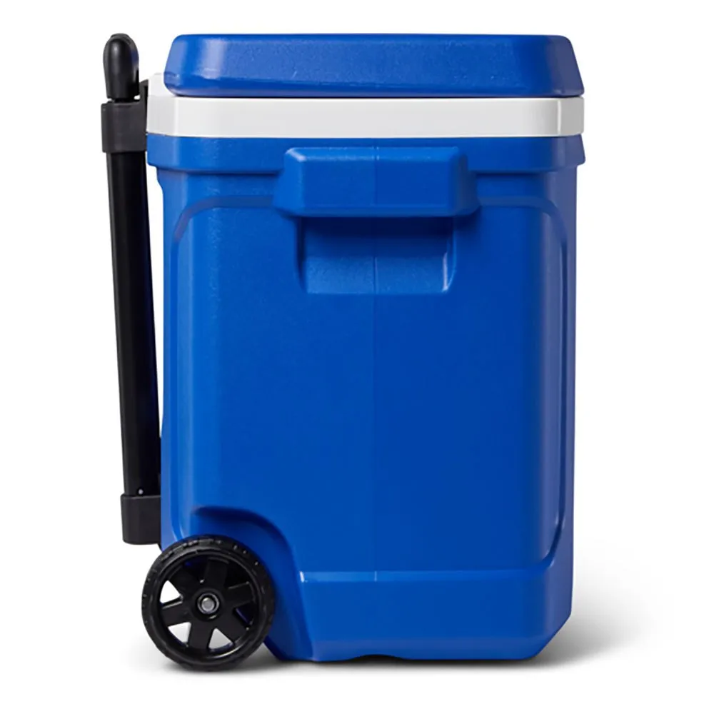 Igloo Coolers Profile Majestic 28 26l Steife Tragbare Kühlbox, Blue, One Size Igloo Coolers Profile Majestic 28 26l Steife Tragbare Kühlbox, Blue, One Size