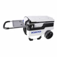Igloo Coolers Trailmate Marine 70 66l Steife Tragbare Kühlbox Igloo Coolers Trailmate Marine 70 66l Steife Tragbare Kühlbox