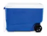 Igloo Coolers Wheelie Cool 38 36l Steife Tragbare Kühlbox, Blue, One Size