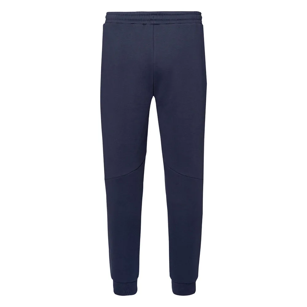 Iguana Milton Hosen Iguana Milton Hosen