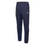 Iguana Milton Hosen