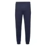 Iguana Milton Hosen