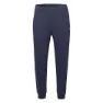 Iguana Milton Hosen