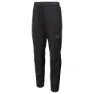 Iguana Velman Hosen