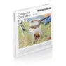 Innova Zusammenklappbarer Campingholzofen, Silver, One Size