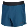 inov-8 Race Elite 5´´ Kurze Hose male, Slate