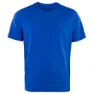 Cobalt reef