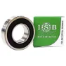 ISB Bearings 6004-2rsv-p6 E-bike Lager, Silver, One Size