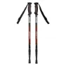 Izas Bernues Stöcke, Black, 65-135cm