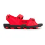 Black / red