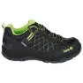 Black / light green